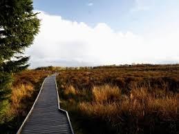 Langlands Moss Local Nature Reserve