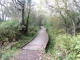 RSPB Scotland Loch of Kinnordy